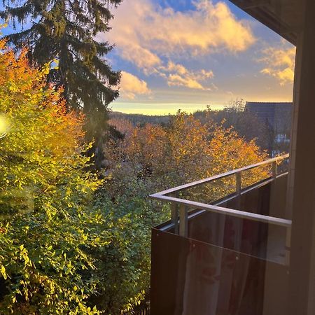 Moderne Und Zentral Gelegene Ferienwohnung In Braunlage Mit Rodelpiste Und Start Ski Langlauf In 300 Metern Entfernung Luaran gambar
