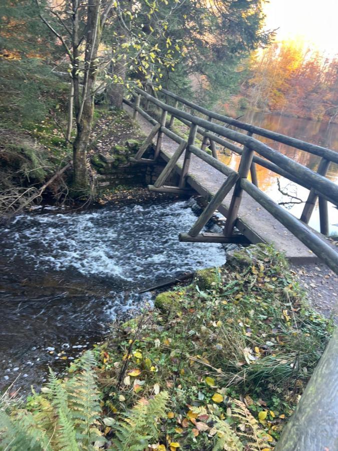 Moderne Und Zentral Gelegene Ferienwohnung In Braunlage Mit Rodelpiste Und Start Ski Langlauf In 300 Metern Entfernung Luaran gambar
