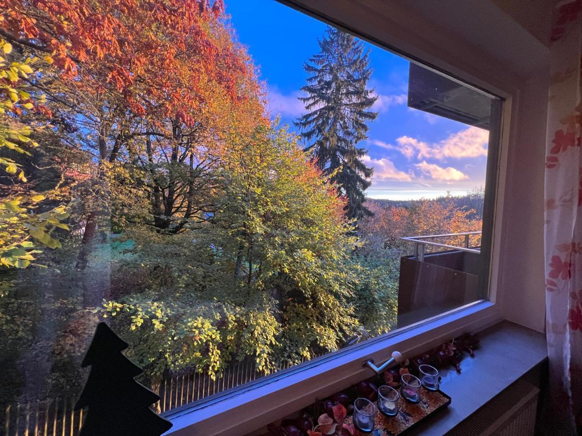 Moderne Und Zentral Gelegene Ferienwohnung In Braunlage Mit Rodelpiste Und Start Ski Langlauf In 300 Metern Entfernung Luaran gambar