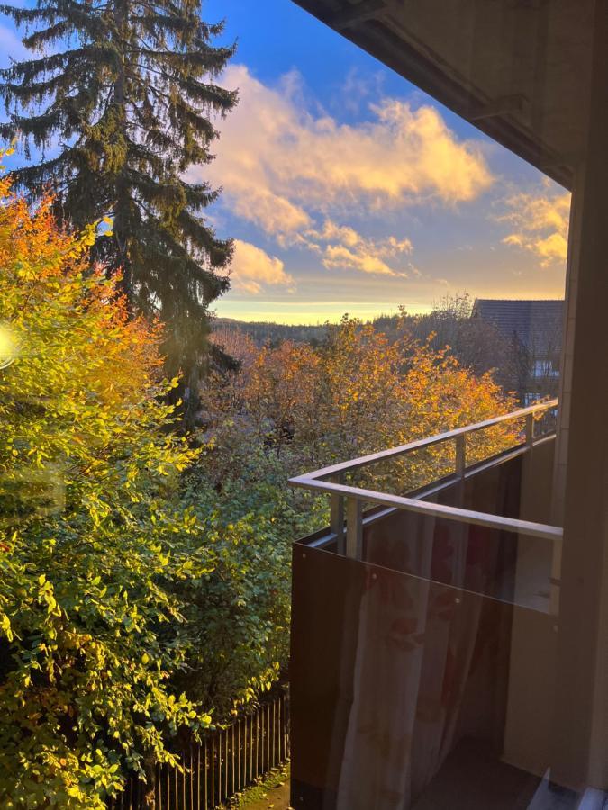 Moderne Und Zentral Gelegene Ferienwohnung In Braunlage Mit Rodelpiste Und Start Ski Langlauf In 300 Metern Entfernung Luaran gambar