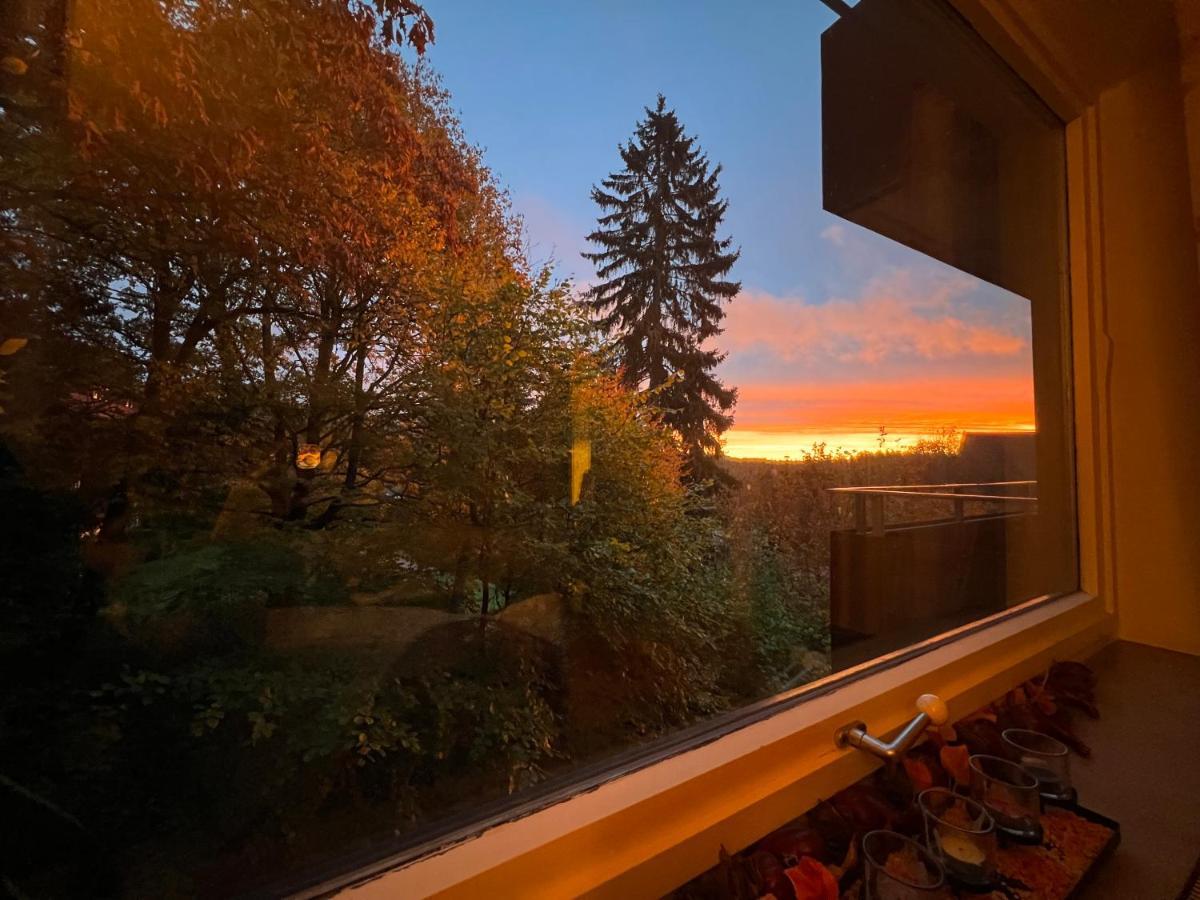 Moderne Und Zentral Gelegene Ferienwohnung In Braunlage Mit Rodelpiste Und Start Ski Langlauf In 300 Metern Entfernung Luaran gambar